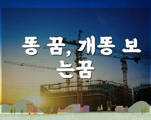 개똥보는꿈
