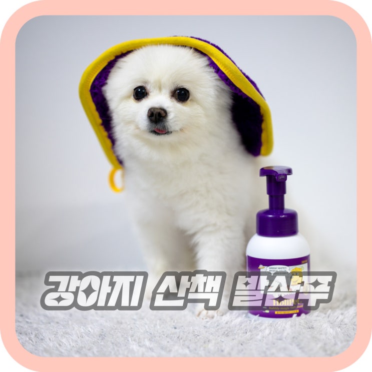  강아지 산책후 발닦 홀리펫 발샴푸