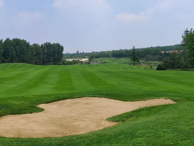  #연태남산불광골프장 / #연태불광골프클럽 / #烟台龙口佛光 /#Foguang GolfCourseofYantai