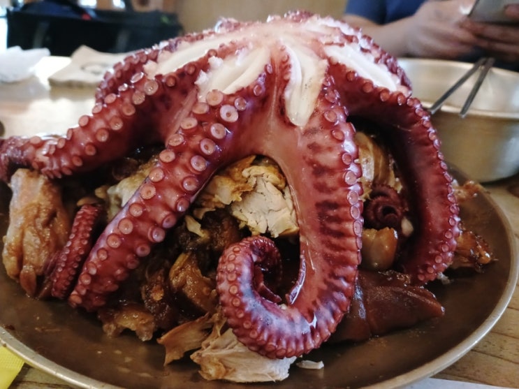 대왕 문어와 쫀득한 족발의 조합 호매실족발 호매실맛집 야들야들한 보약족발(주차팁) 대왕 문어와 쫀득한 족발의 조합 호매실족발 호매실맛집 야들야들한 보약족발(주차팁)