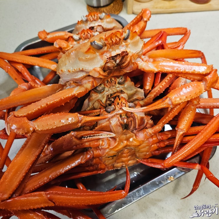  주문진 수산시장 홍게 포장 집에서 홍게 찌는 법 맛있게 먹는법