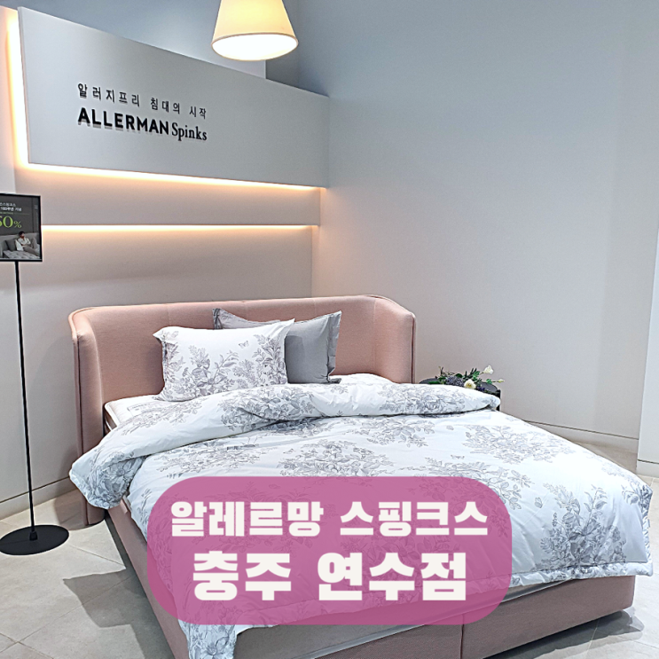 알레르망 스핑크스 충주 연수점 알러지프리 충주 매트리스 웨딩 이사 이벤트