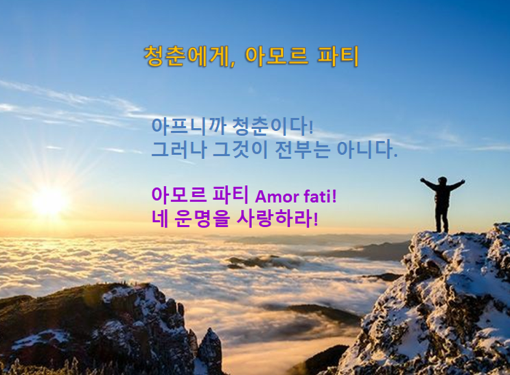  아모르 파티 Amor Fati! (Ft. 아프니까 청춘이다? 그러나 그것이 전부는 아니다.)