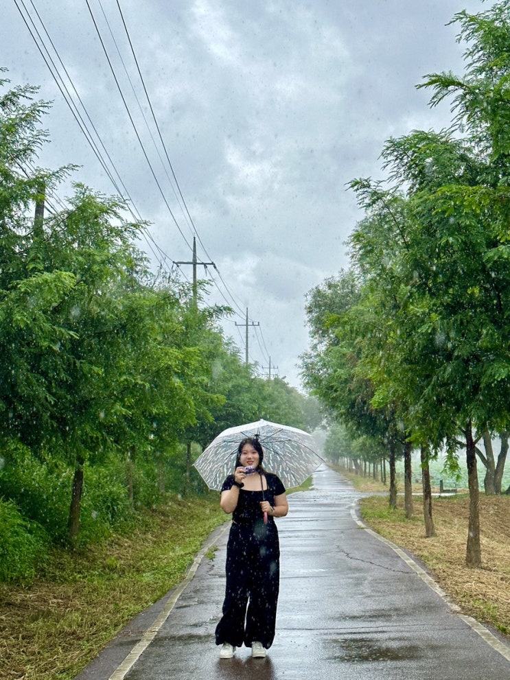  충남 공주 여행 몰아보기 ! 공주 가볼만한 곳 추천