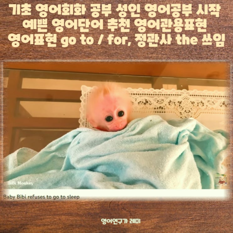 기초 영어회화 공부 성인 영어공부 시작 예쁜 영어단어 추천 영어관용표현 영어표현 go to / for, 정관사 the 쓰임 기초 영어회화 공부 성인 영어공부 시작 예쁜 영어단어 추천 영어관용표현 영어표현 go to / for, 정관사 the 쓰임