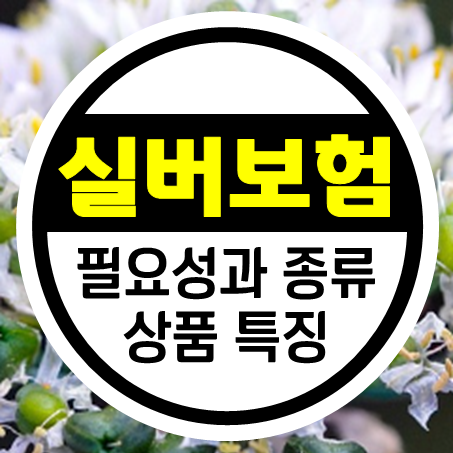  고령자보험 가입의 필요성과 어르신보험 종류 및 특징 안내