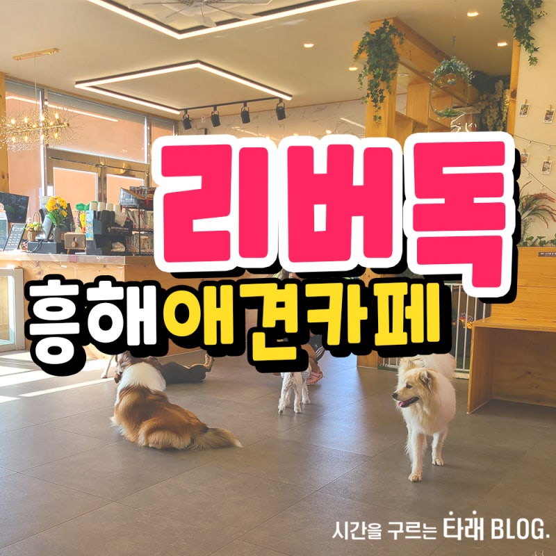 사진 7