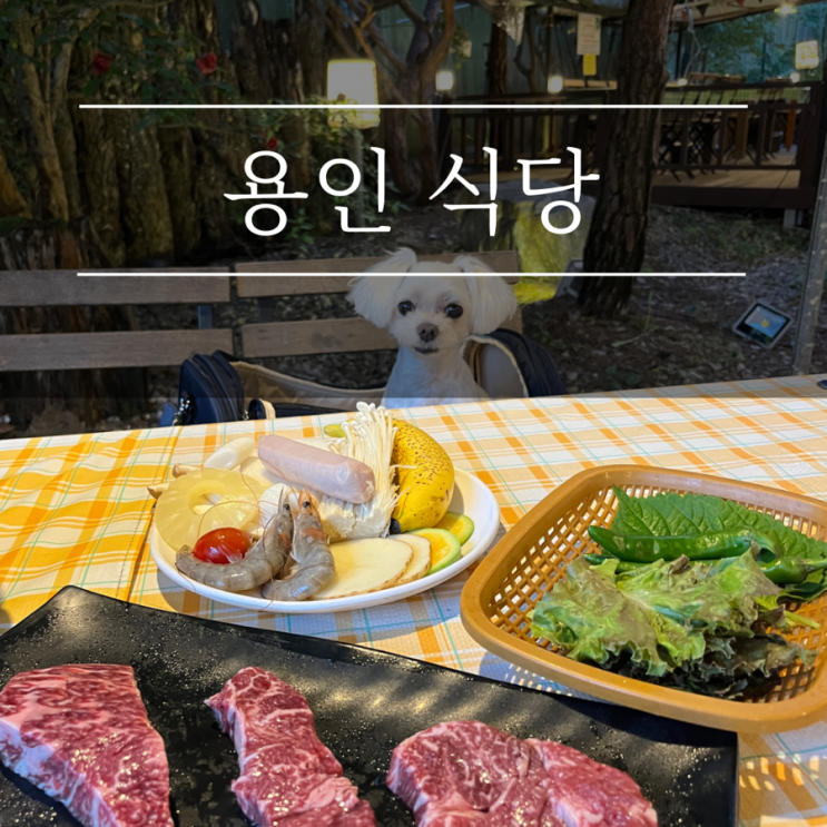 용인 고기리 맛집 모노캠프 바베큐 애견동반식당