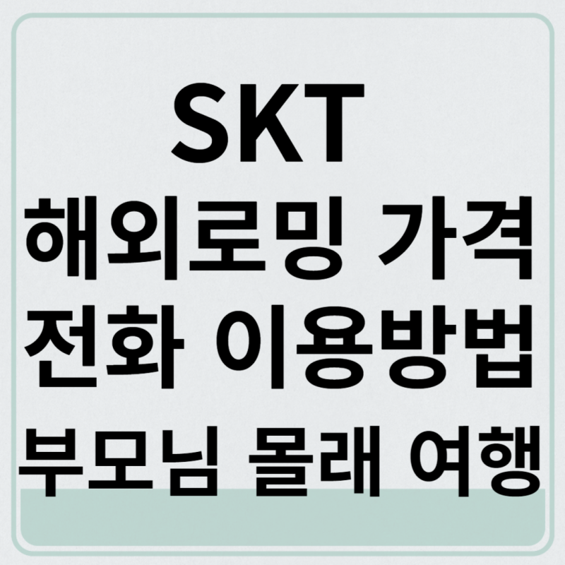 Skt 해외로밍 가격, 전화 이용방법, 부모님 몰래 여행