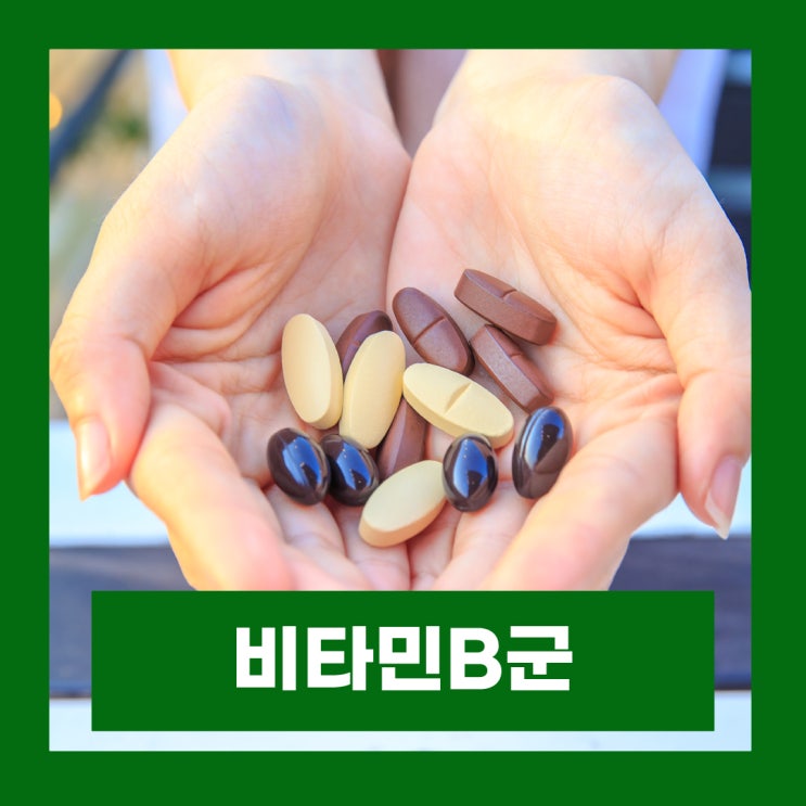  벤포벨S 비맥스제트 비타민B군 역할 의약품 영양제 성분 가격 비교