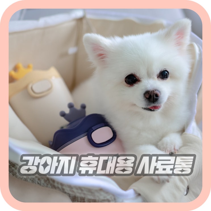  강아지 사료통 휴대용 강아지 간식통 추천