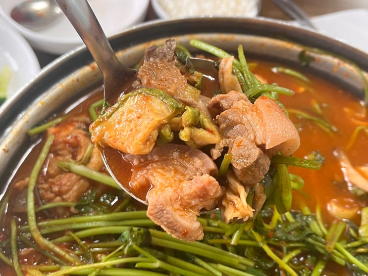 세종 부강 한식 맛집 고향집 (feat. 짜글이 vs 두루치기)