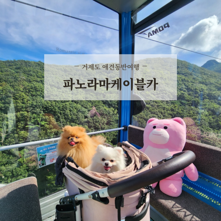  거제도 갈만한곳 애견동반 국내여행지 추천 거제파노라마케이블카 요금 할인 예약 주차