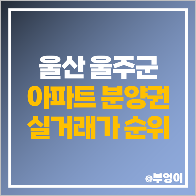 울산 울주군 아파트 분양권 매매 시세 덕하 뉴시티 에일린의 뜰 2차 1차 울산 울주군 아파트 분양권 매매 시세 덕하 뉴시티 에일린의 뜰 2차 1차