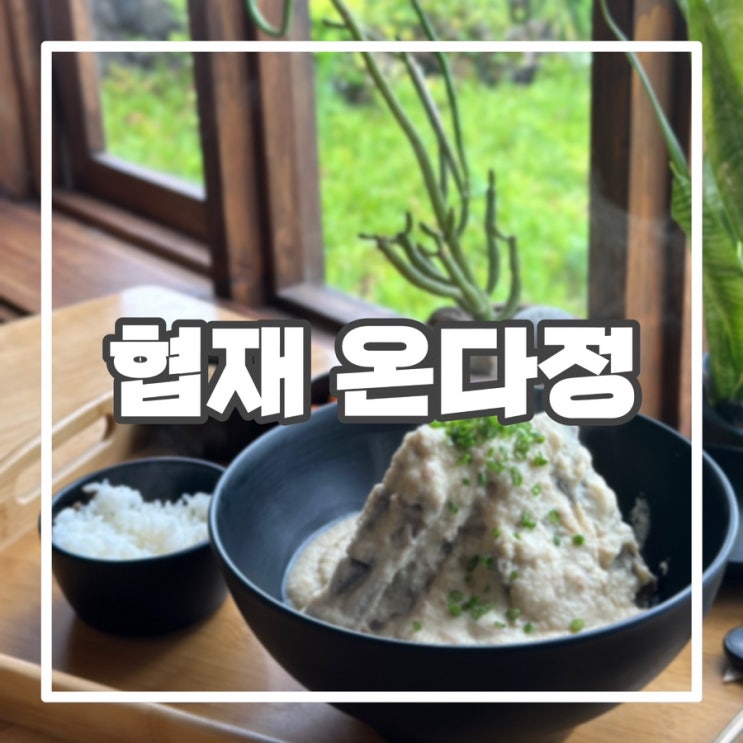 [제주 한림] 제주에서만 맛볼 수 있는 등뼈콩탕, 육전 비빔국수 맛집 @ 협재 온다정