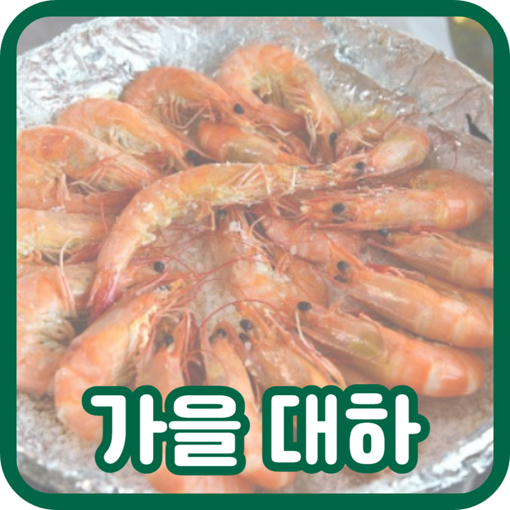  대하 철, 대하 축제를 맞아 새우 칼로리 효능 알아보자