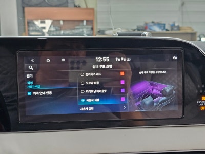 대구 달서구 / 엠비언트 무드등 / 현대 / 팰리세이드