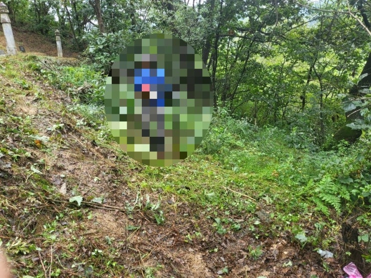  2023년 김천시 지례면 여배리 산소 1기 벌초 고인돌장묘개발장의사 선산 구미 황간 영동 성주 상주 문경 칠곡