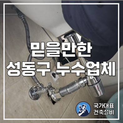  성동구 누수, 성수동 누수 업체 탐지 및 시공 사례(아파트천장누수, 세면대)