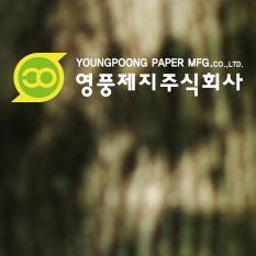  과거 주가조작 관련주의 흐름이 떠올려지는 '영풍제지' 주가, 뉴스에 팔아라?  (12월 코스피200 지수 신규편입 유력 뉴스)