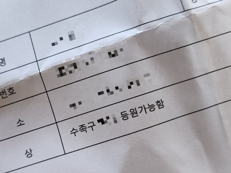  1년만에 다시 찾아온 4살 수족구, 증상부터 등원확인서까지