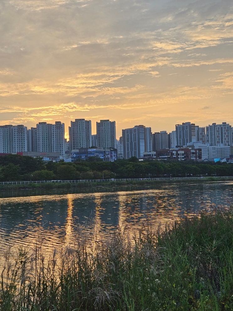  미사리 경정공원 | 조정경기장에서 노을 , 윤슬 바라보기