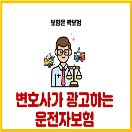  한문철(한블리) 운전자보험 초기대응플랜의 실체