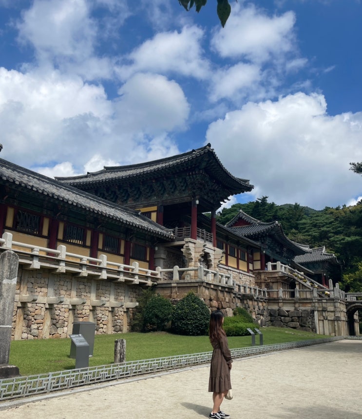  경주 불국사 극락전 돼지 발견하고 맛집도 발견하기