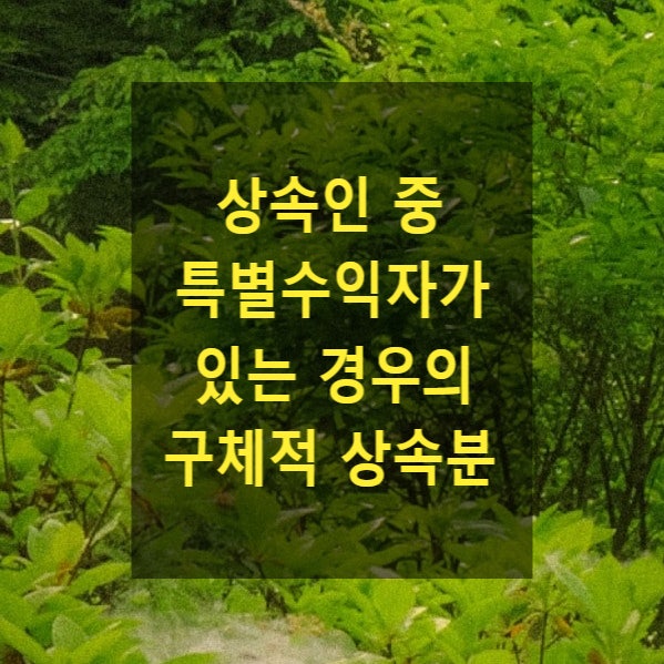  상속 - 상속인 중 특별수익자가 있는 경우의 구체적 상속분