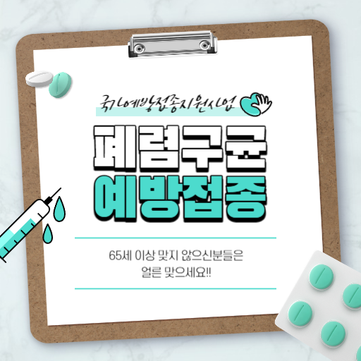  폐렴구균 예방접종 가이드 (13가백신,23가백신)