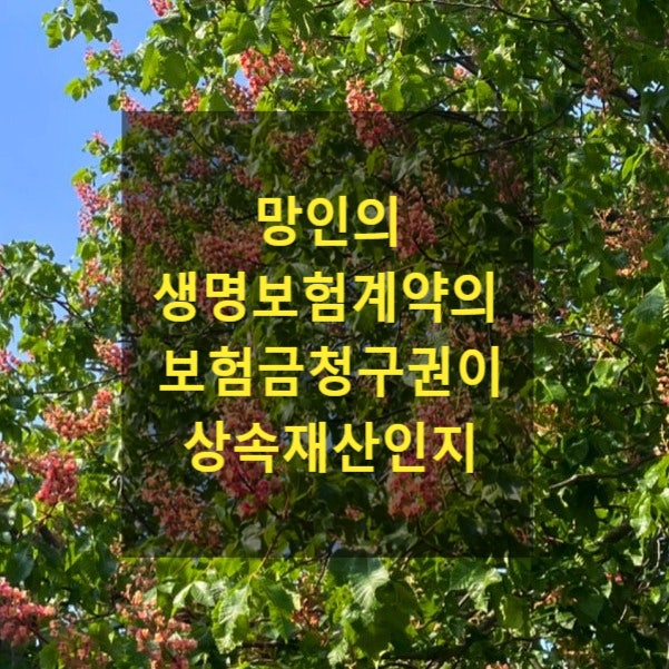  상속 - 망인의 생명보험계약의 보험금청구권이 상속재산인지