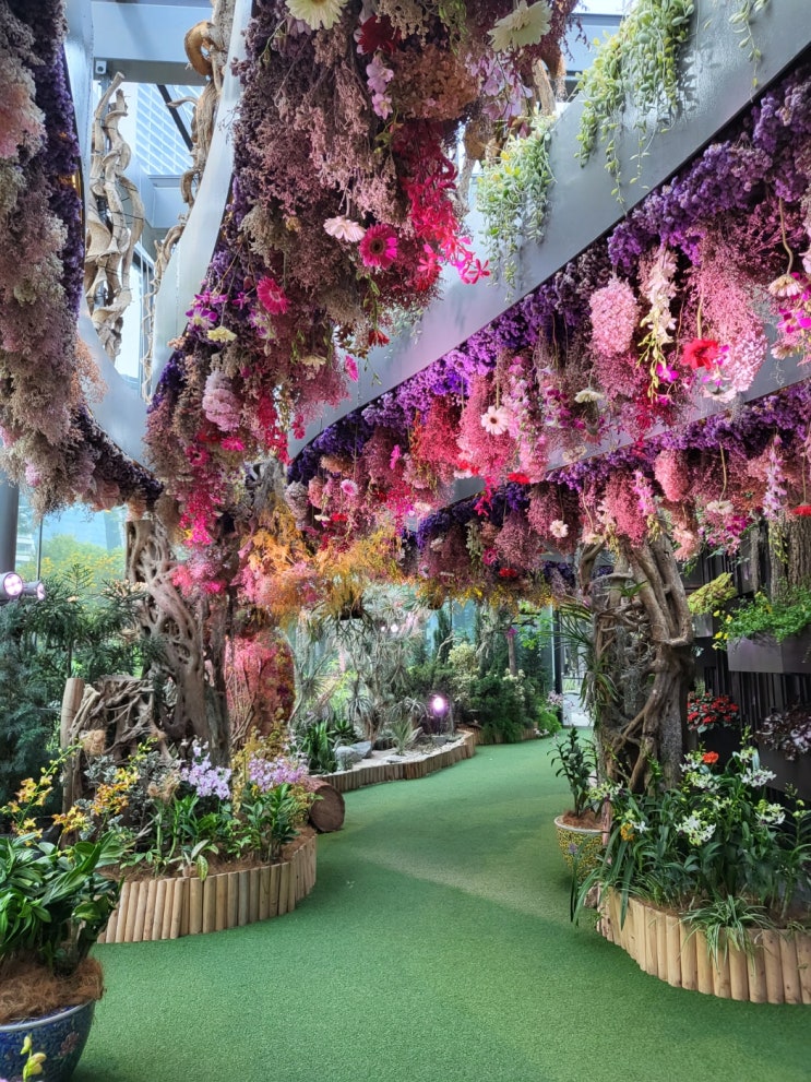 싱가포르 여행. 플로럴 판타지 방문 솔직 후기 (Floral Fantasty)