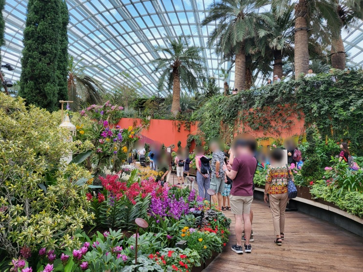 싱가포르 여행. 다양한 식물이 있는 플라워 돔 구경 꿀팁 (Flower Dome)