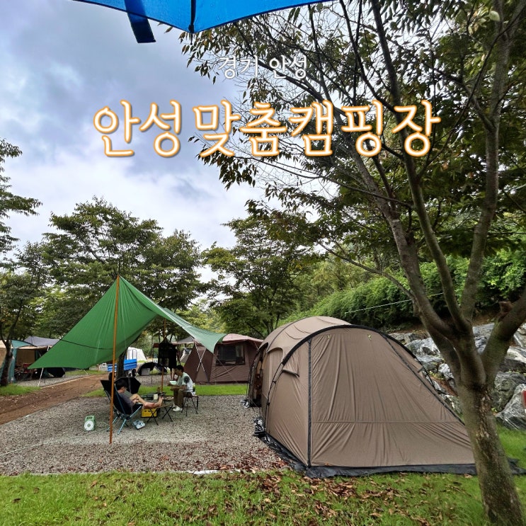  안성맞춤캠핑장 전동카트로 편하게 짐 옮기기