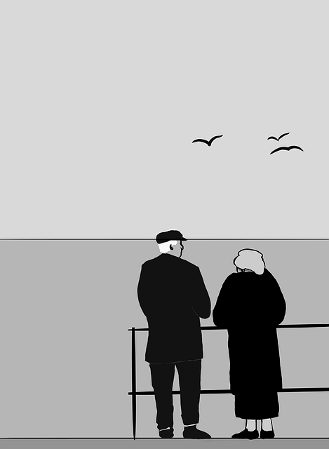  노인기 정서적 변화, 생리적 이론은