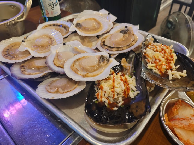  속초 동명동조개구이 '속초조개마을' 조개 무한리필, 삼겹살 나오는 맛집