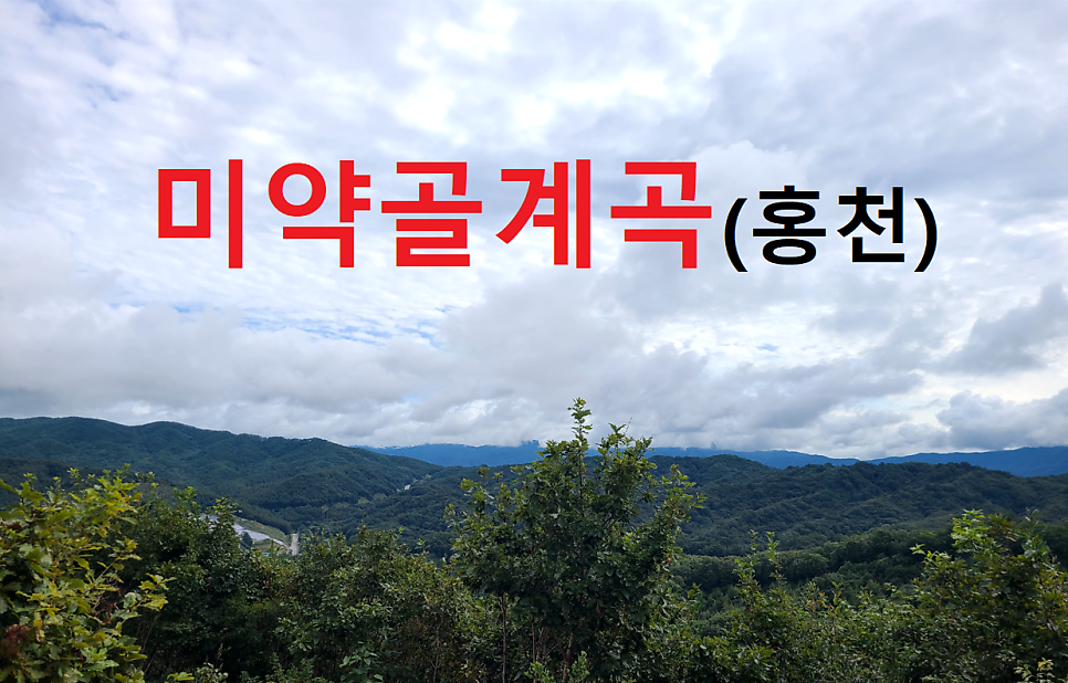 미야골 사진 1