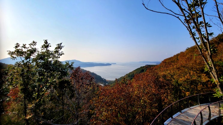 <b>보디캠</b> <b>경찰</b> 아직 사비 구입? 개인정보 저위험 권총 증거 확보