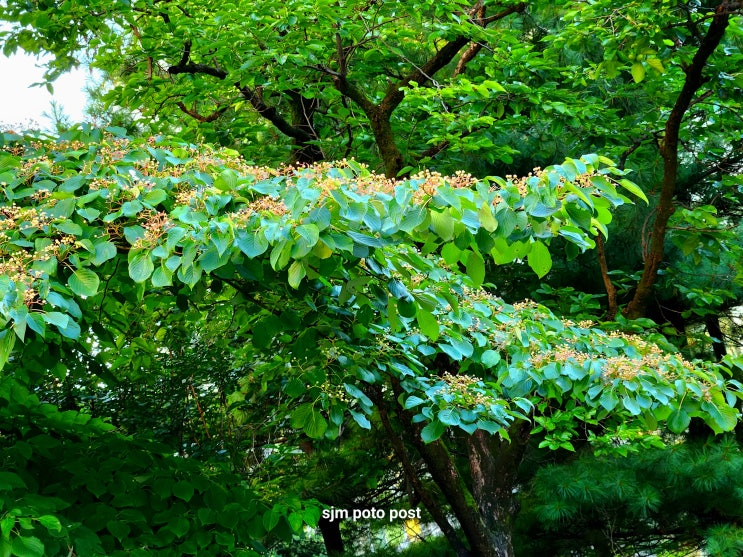 검찰 <b>이재명</b>대표 영장청구날...... 원내대표 <b>교섭단체 연설</b> 전문
