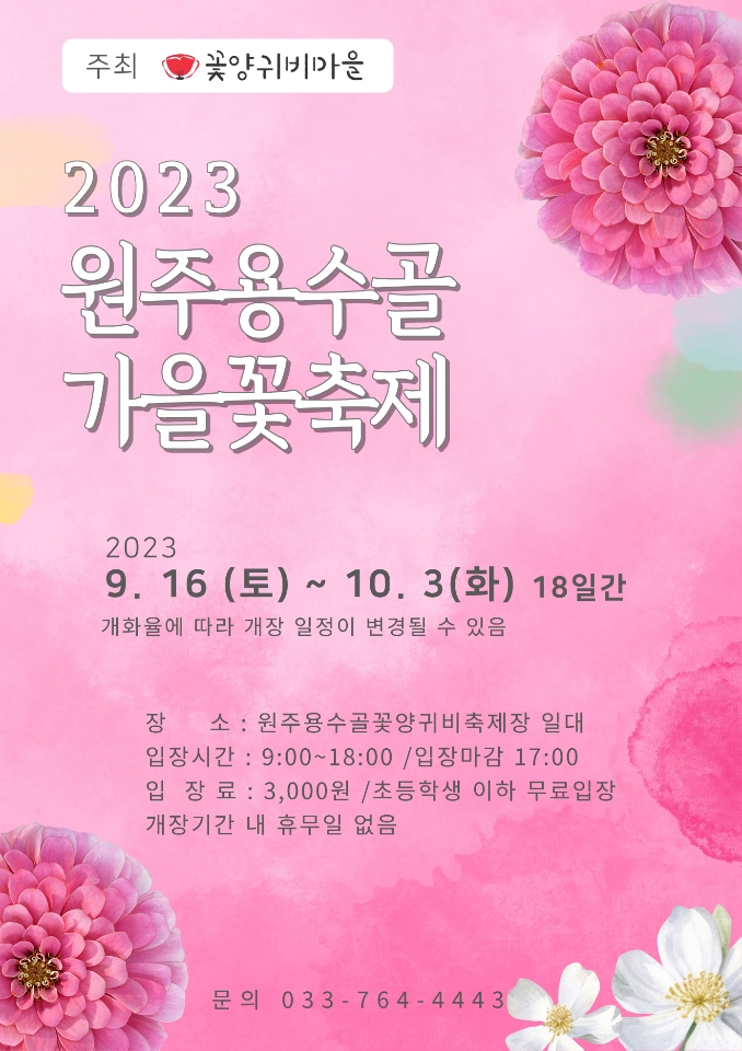  원주 용수골 꽃축제에 다녀오다/코스모스/백일홍