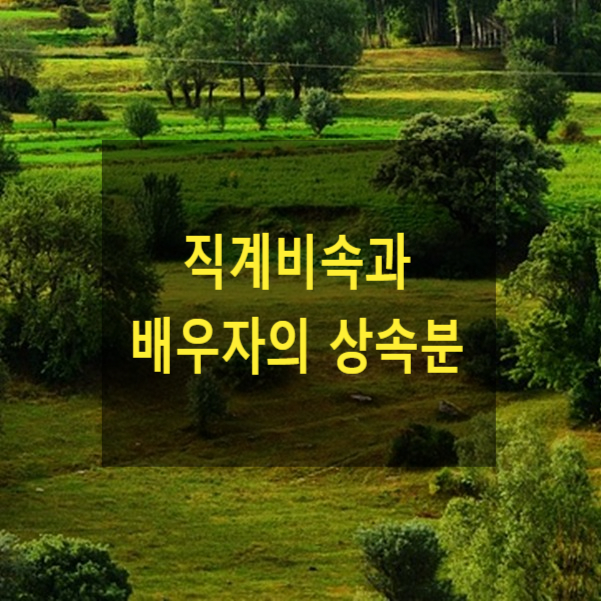  상속 - 직계비속과 배우자의 상속분 사례