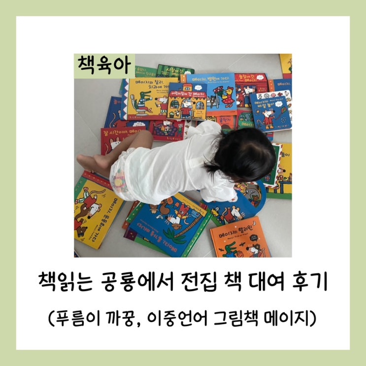  책읽는 공룡에서 전집 책 대여 후기 (푸름이 까꿍, 이중언어 그림책 메이지)