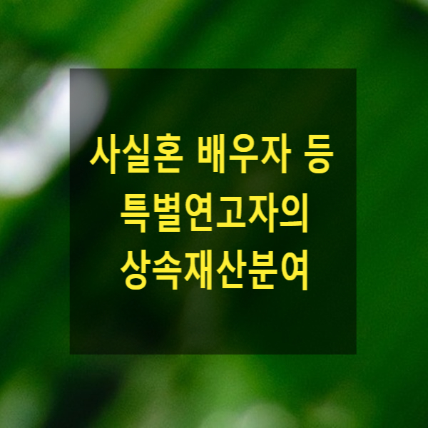  상속 - 사실혼 배우자 등 특별연고자, 생계를 같이하는자의 상속재산분여, 위자료 청구권