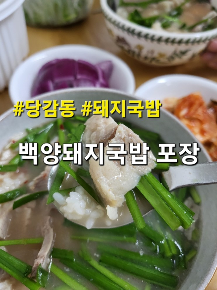 백양돼지국밥 포장-당감동 돼지국밥 맛집