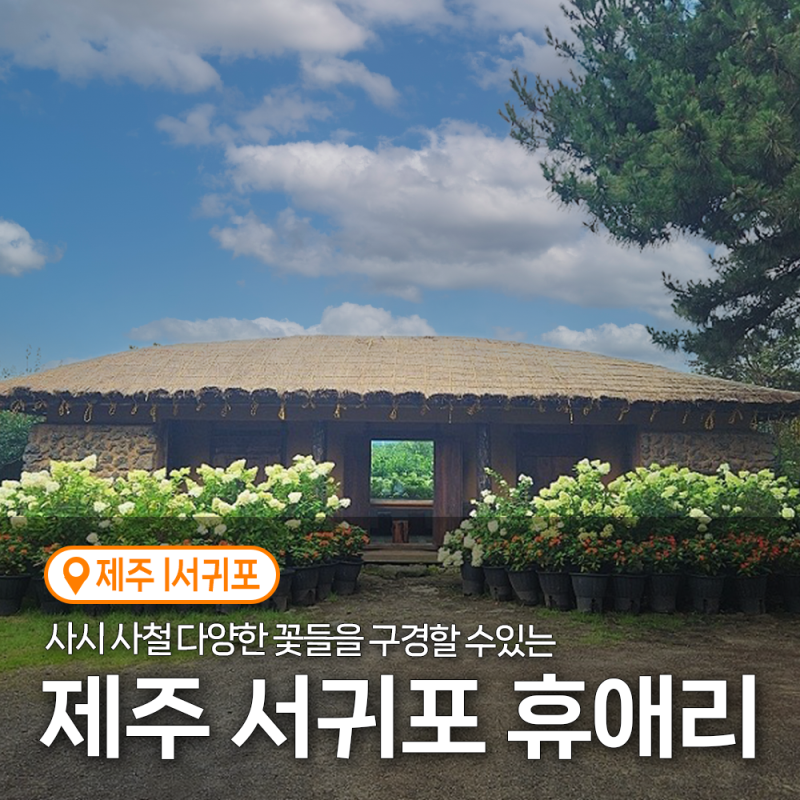 제주 휴애리 자연생활공원 9월 10월 제주 서귀포 여행 가볼만한 곳