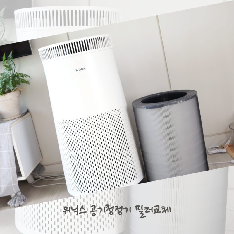 위닉스 타워프라임 공기청정기필터 교체 청소 버리기까지