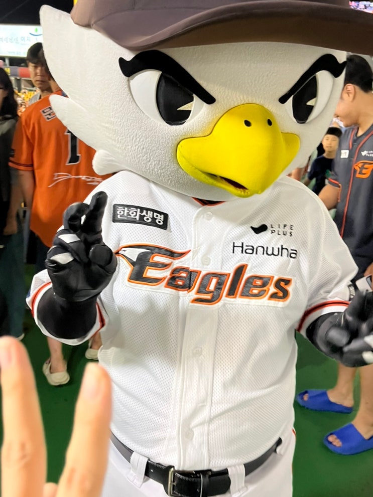 <b>한화</b>이글스 <b>노시환</b> 커피 이벤트, 9월 16일 오렌지 팬데이... 