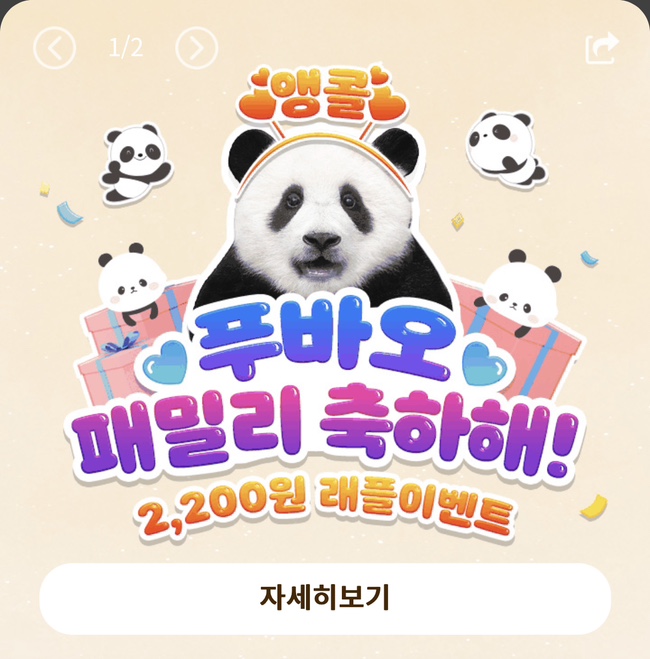   푸바오 래플이벤트