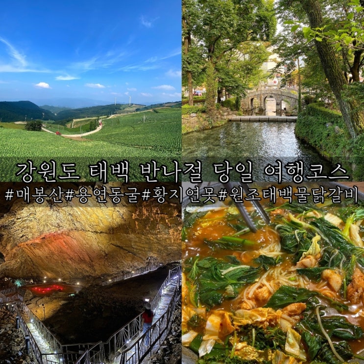  강원도 태백 당일 여행코스 추천 매봉산 용연동굴 황지연못 원조태백물닭갈비