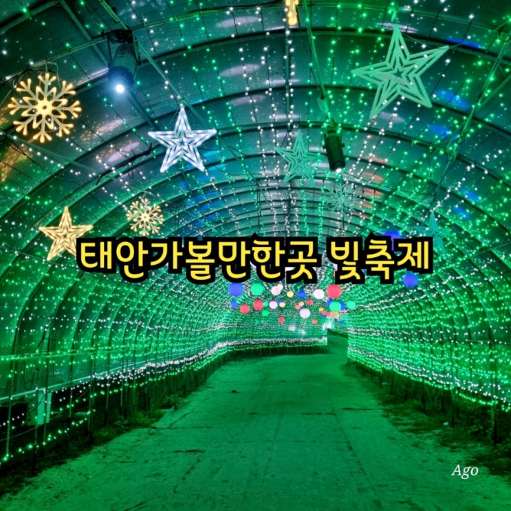  태안가볼만한곳 태안빛축제
